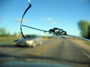 Rock chip on windshield